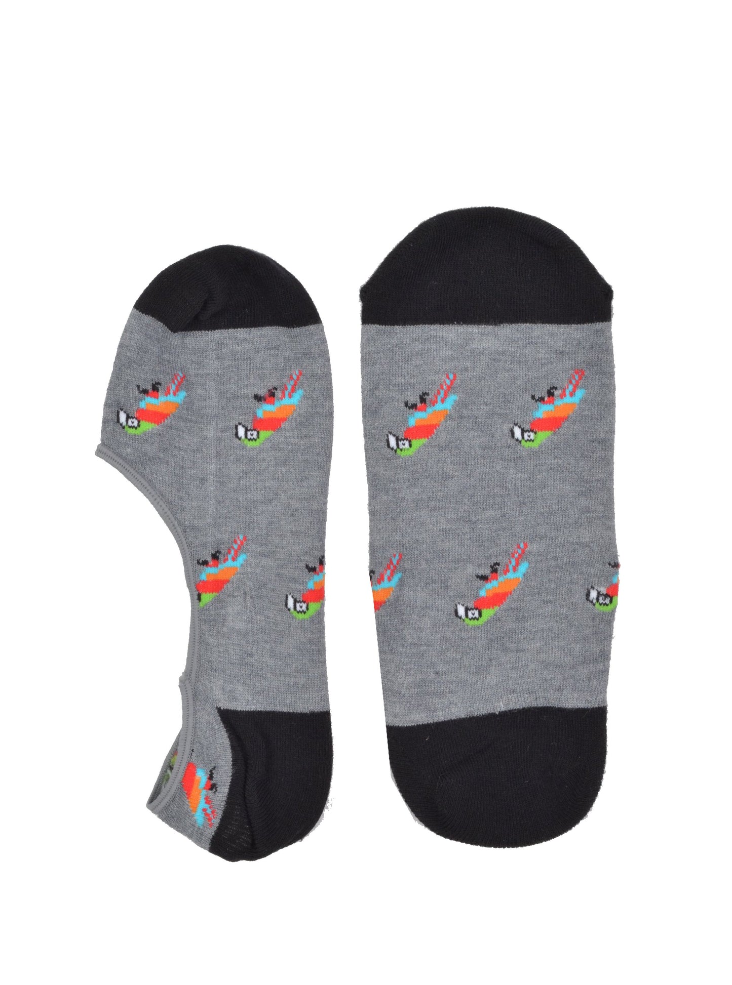 Grey Parrot - Spazio