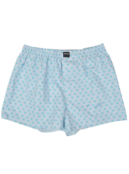 Blue pin striped boxer shorts on a white background