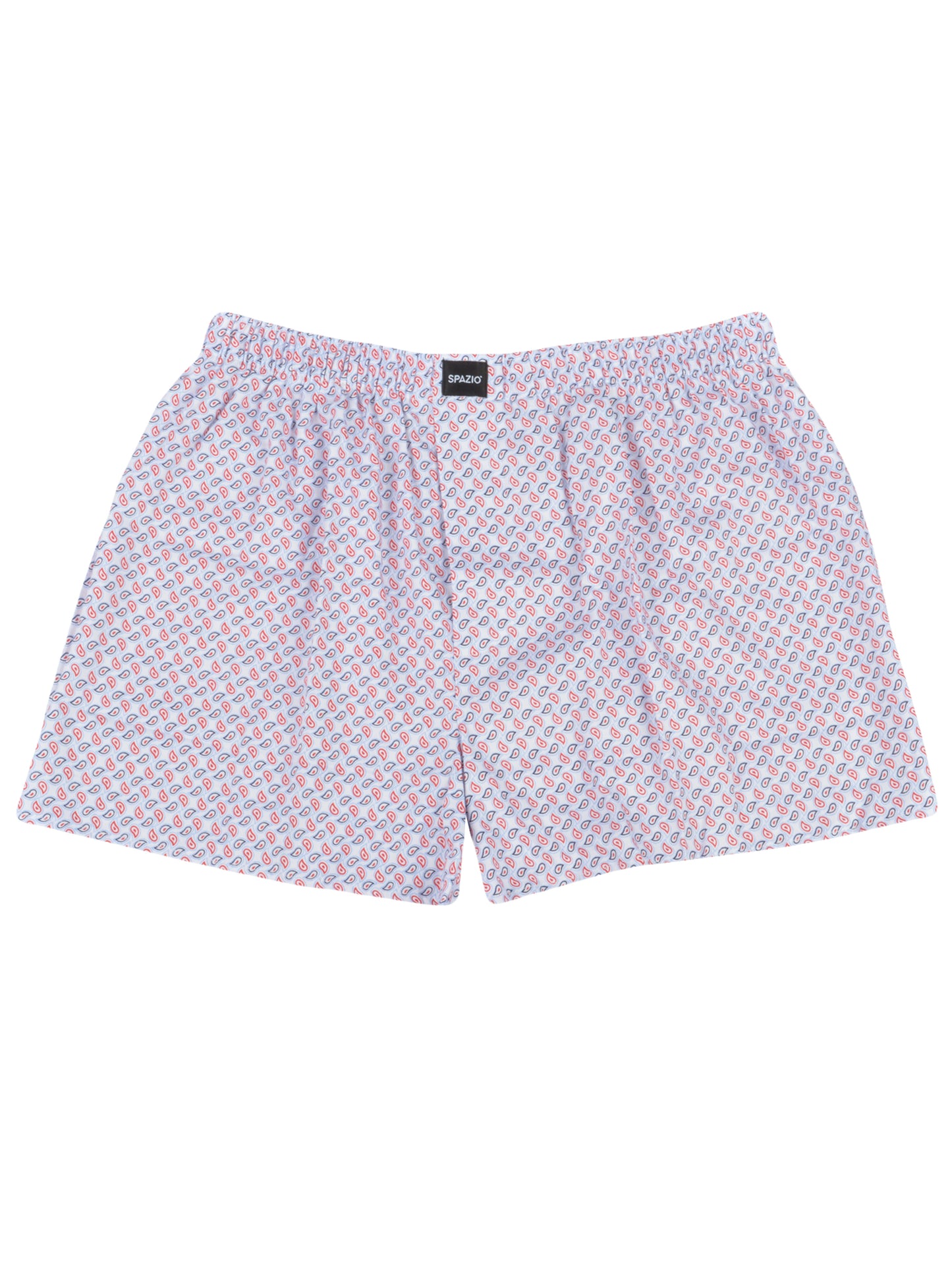 Paisley Patterned boxer shorts on a white background