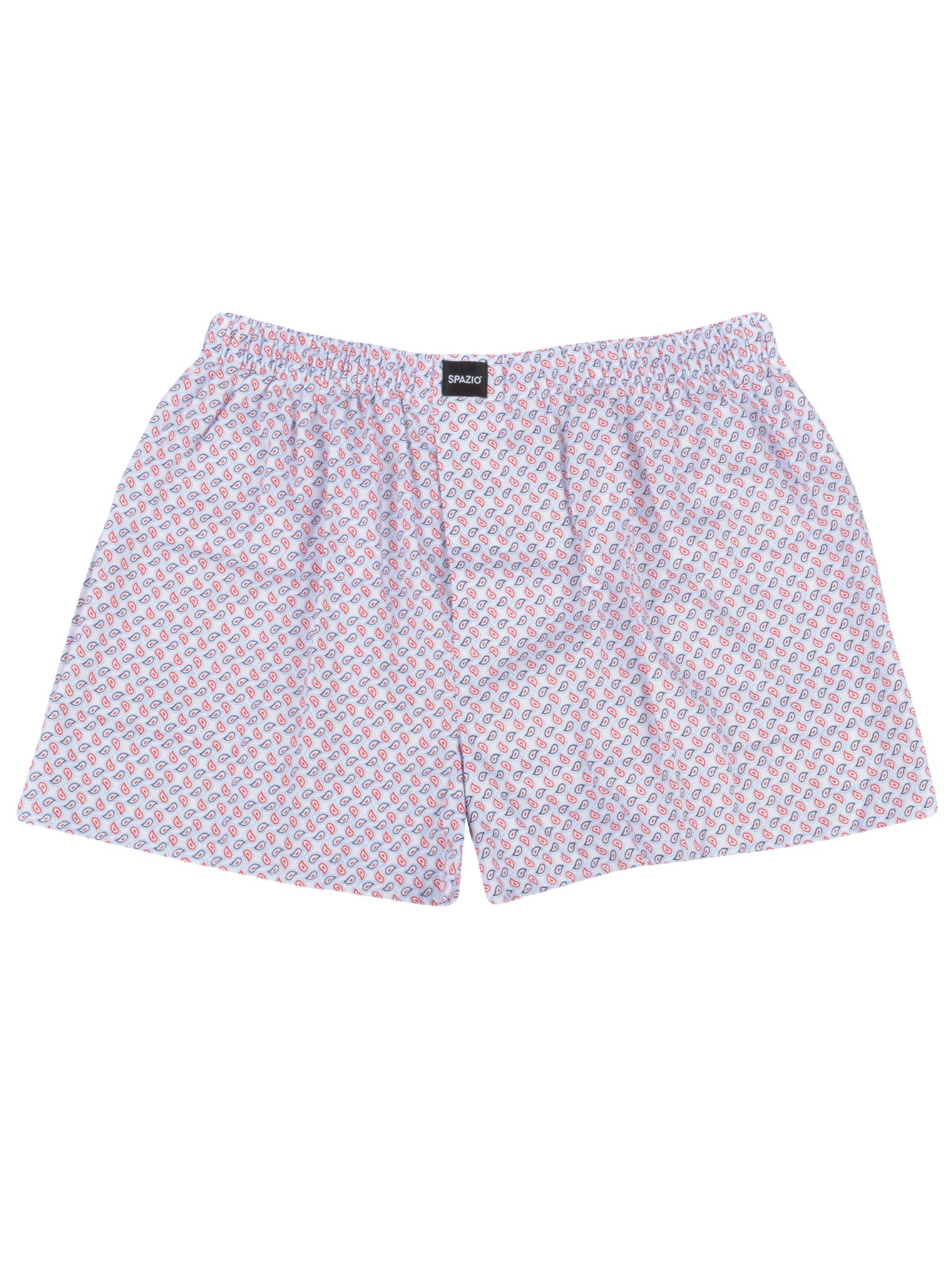 Paisley Patterned boxer shorts on a white background
