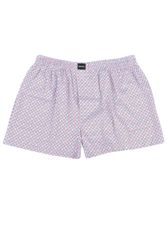 Paisley Patterned boxer shorts on a white background