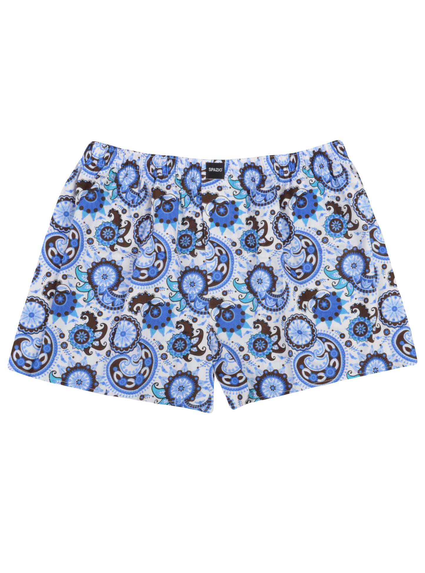 Blue and white patterned boxer briefs on a white background
