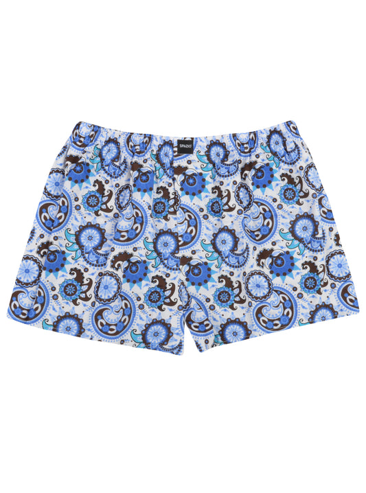 Blue and white patterned boxer briefs on a white background